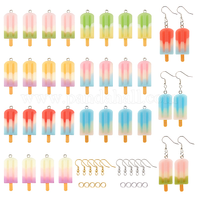 Wholesale Nbeads DIY Resin Dangle Earring Making Kits 