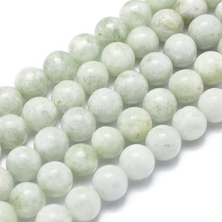 Natural Myanmar Jade/Burmese Jade Beads Strands G-D0001-09-8mm-1