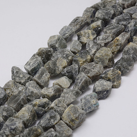 Raw Rough Natural Labradorite Beads Strands G-F403-12-1