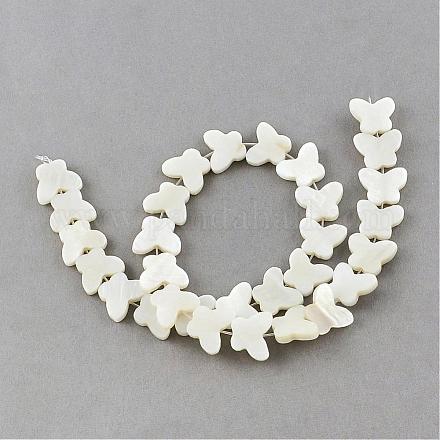 Chapelets de perles en coquillage naturel SSHEL-Q296-38-1