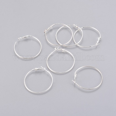 Brass Hoop Earrings X-EC108-2NFS-1