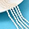 Natural Cultured Freshwater Pearl Beads Strands, Rice, Grade 3A, Old Lace, 2.8~3.2mm, Hole: 0.5mm, about 70~71pcs/strand, 13.98''(35.5cm)