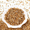 Electroplate Glass Seed Beads, for Jewelry Making, Mixed Shapes, Goldenrod, 1.2~15x1.5~4.5mm, Hole: 0.8~1.8mm, about 8000pcs/Pound