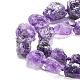 Natural Amethyst Beads Strands G-G486-01-6