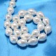 Hebras de perlas de concha de lágrima BSHE-L015-01-3