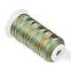 Segment Dyed Round Polyester Sewing Thread OCOR-Z001-B-11-2