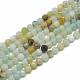 NBEADS 2 Strands About 286 Pcs Natural Flower Amazonite Beads G-NB0004-59-7