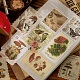 Ensemble d'autocollants de timbres-poste vintage X-DIY-B008-03D-5