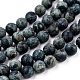 Frosted Natural Kambaba Jasper Beads Strands G-M272-14-10mm-3