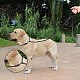 Nylon Dog Leash Slip Rope AJEW-WH0016-83A-6