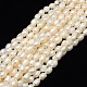 Grade A Natural Cultured Freshwater Pearl Beads Strands PEAR-L001-19-1