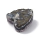 Natural Amethyst Cluster G-G995-C01-4