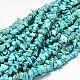 Chip Dyed Natural Howlite Bead Strands X-G-L454-06-1