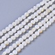 Perles de coquillage blanc naturel G-I249-A38-1