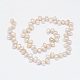 Brins de perles de culture d'eau douce naturelles PEAR-G004-01D-01-2