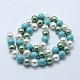 Chapelets de perles de coquille BSHE-K053-04-8mm-10-2