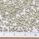 Perles rocailles miyuki rondes SEED-X0054-RR0181-2