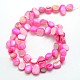 Dyed Natural Freshwater Shell Beads Strands SHEL-J003-08-2