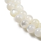 Нити бусин из натуральных пресноводных ракушек BSHE-Z005-02-3