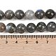 Природные лабрадорита бисер нитей&nbsp;G-Z133-A01-10mm-01-5