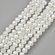 Chapelets de perles en verre électroplaqué EGLA-A034-J10mm-A08-1