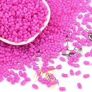 Выпечка краска стеклянные бусины SEED-L011-09A-13