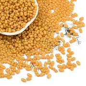 Выпечка краска стеклянные бусины SEED-L011-09A-22