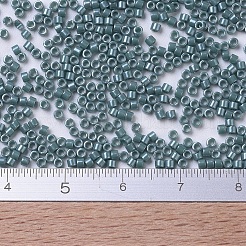 Miyuki Delica Perlen&nbsp;X-SEED-J020-DB0264