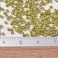 MIYUKIデリカビーズ  シリンダー  日本製シードビーズ  11/0  （db2272)不透明艶出しサンザシ  1.3x1.6mm  穴：0.8mm  約20000個/袋  100 G /袋&nbsp;SEED-J020-DB2272