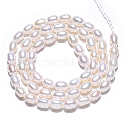 Нити из натурального культивированного пресноводного жемчуга PEAR-N012-04H