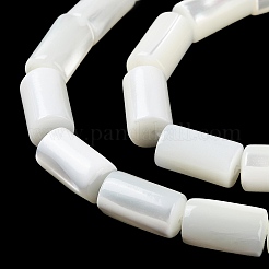 Нити бусин из натуральной ракушки трохус X-BSHE-Z003-18