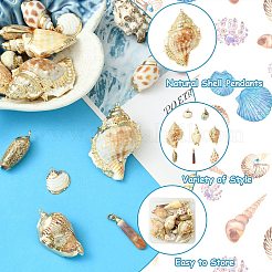 16 шт. 8 стиля гальванизированные натуральные смешанные ракушки большие подвески&nbsp;SSHEL-CJ0001-21