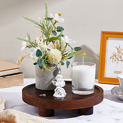 Деревянный настольный держатель для хранения вещей DIY-WH0622-306