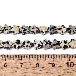 Природные яшмы далматин бисер нитей G-N257-24A-04