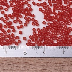 Miyuki Delica Perlen&nbsp;X-SEED-J020-DB0745