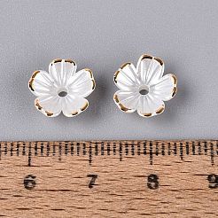 プラスチックビーズキャップ  5  - 花びらの花  ツートン  ゴールドライン入り  フローラルホワイト  10~11x10~11x4mm  穴：1.6mm  約2000個/袋&nbsp;KY-Q005-04A-01