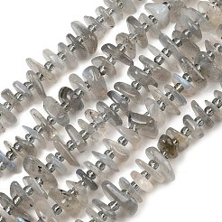 天然石ラブラドライトビーズ連売り  ナゲット  7.5~13x6~13x2~5mm  穴：0.9mm  約68~86個/連  15.35~15.75''（39~40センチメートル）&nbsp;GG-CBA3A44-B07-01