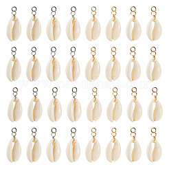 60 шт. подвески из натуральной ракушки каури 2 цветов&nbsp;PALLOY-TA00305