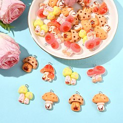 30pcs 5 styles de pendentifs en résine&nbsp;RESI-CJ0005-20