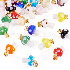 24шт 12 цвета подвески ручной работы лэмпворк&nbsp;LAMP-TA0001-77