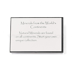 Самородки необработанные необработанные коллекции натуральных камней&nbsp;AJEW-A055-03