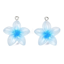 Прозрачные смоляные подвески&nbsp;RESI-P048-01P