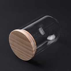 Стеклянный купол&nbsp;DJEW-E009-01