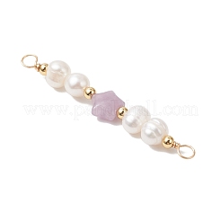 Подвески-звезды из искусственного голубого кружевного агата PALLOY-JF04719