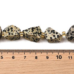 Необработанные грубые натуральные нити бусин из далматинской яшмы G-Z087-A01