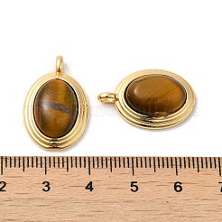 Природных тигровый глаз подвески&nbsp;KK-M270-41G-01