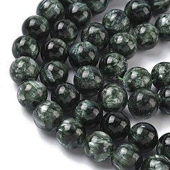 Природные SERAPHINITE нитей бисера&nbsp;G-C270-O01-11