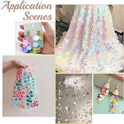 80 g 10 colori pendenti in paillettes in pvc&nbsp;FIND-SC0023-20A