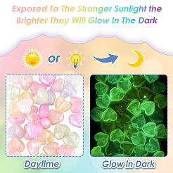 Светящиеся прозрачные акриловые бусины&nbsp;LACR-TA0001-07B