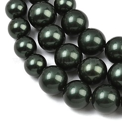 Rangs de perles de nacre de coquillage électroplaquées de taille dégressive&nbsp;BSHE-C011-04-02